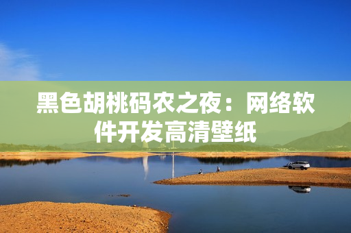 黑色胡桃码农之夜：网络软件开发高清壁纸
