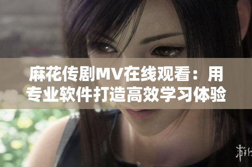 麻花传剧MV在线观看：用专业软件打造高效学习体验