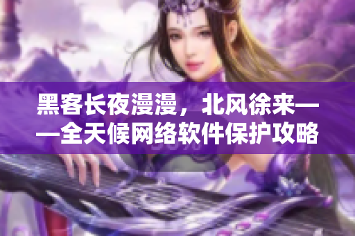 黑客长夜漫漫，北风徐来——全天候网络软件保护攻略