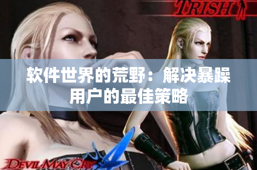 软件世界的荒野：解决暴躁用户的最佳策略