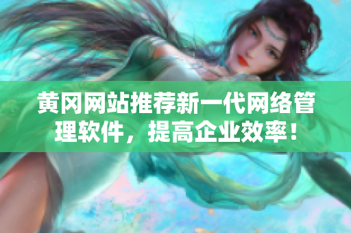 黄冈网站推荐新一代网络管理软件，提高企业效率！