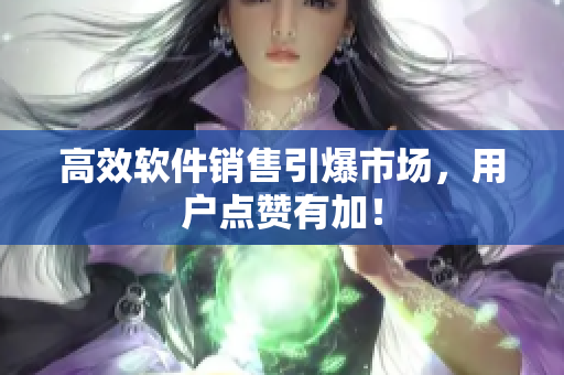 高效软件销售引爆市场，用户点赞有加！