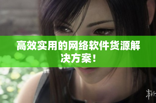 高效实用的网络软件货源解决方案！