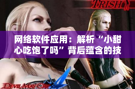 网络软件应用：解析“小甜心吃饱了吗”背后蕴含的技术原理