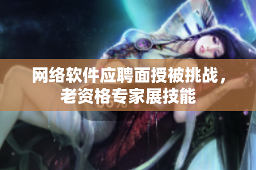 网络软件应聘面授被挑战，老资格专家展技能