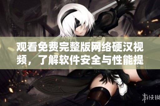 观看免费完整版网络硬汉视频，了解软件安全与性能提升方法!
