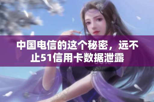 中国电信的这个秘密，远不止51信用卡数据泄露