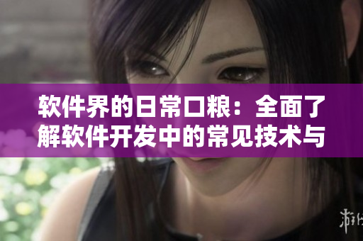 软件界的日常口粮：全面了解软件开发中的常见技术与工具
