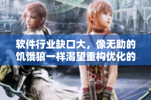 软件行业缺口大，像无助的饥饿狼一样渴望重构优化的程序员们。