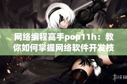 网络编程高手pop11h：教你如何掌握网络软件开发技巧