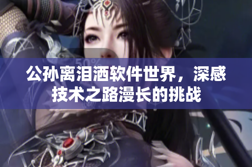 公孙离泪洒软件世界，深感技术之路漫长的挑战