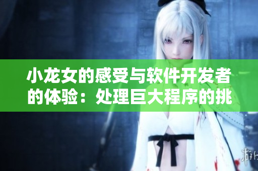 小龙女的感受与软件开发者的体验：处理巨大程序的挑战