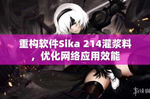 重构软件Sika 214灌浆料，优化网络应用效能