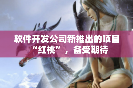 软件开发公司新推出的项目“红桃”，备受期待