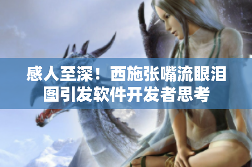 感人至深！西施张嘴流眼泪图引发软件开发者思考