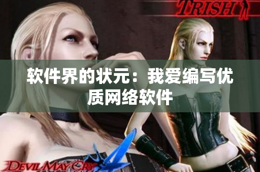 软件界的状元：我爱编写优质网络软件