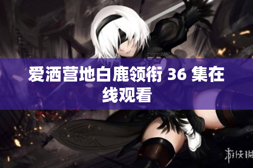 爱洒营地白鹿领衔 36 集在线观看