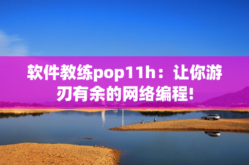 软件教练pop11h：让你游刃有余的网络编程!