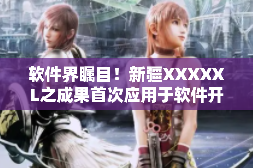 软件界瞩目！新疆XXXXXL之成果首次应用于软件开发