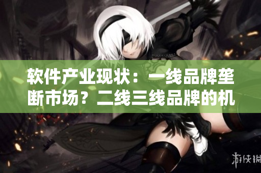 软件产业现状：一线品牌垄断市场？二线三线品牌的机会何在？
