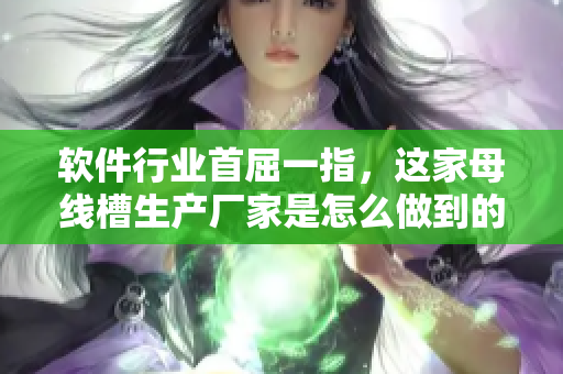 软件行业首屈一指，这家母线槽生产厂家是怎么做到的？