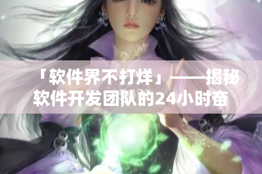 「软件界不打烊」——揭秘软件开发团队的24小时奋斗之旅
