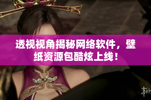 透视视角揭秘网络软件，壁纸资源包酷炫上线！