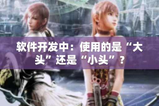 软件开发中：使用的是“大头”还是“小头”？