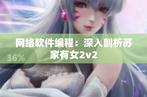 网络软件编程：深入剖析苏家有女2v2