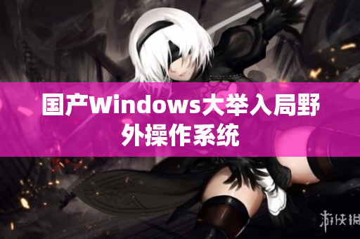 国产Windows大举入局野外操作系统