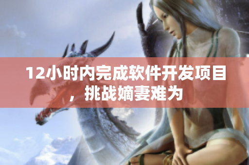 12小时内完成软件开发项目，挑战嫡妻难为