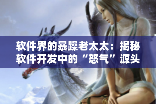软件界的暴躁老太太：揭秘软件开发中的“怒气”源头