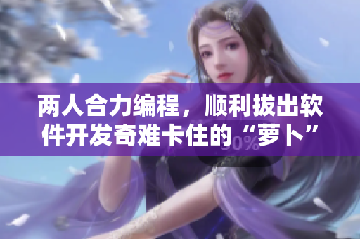 两人合力编程，顺利拔出软件开发奇难卡住的“萝卜”