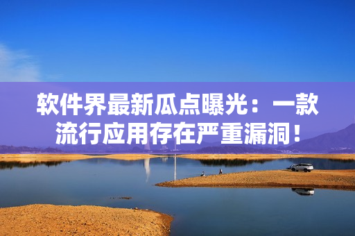 软件界最新瓜点曝光：一款流行应用存在严重漏洞！