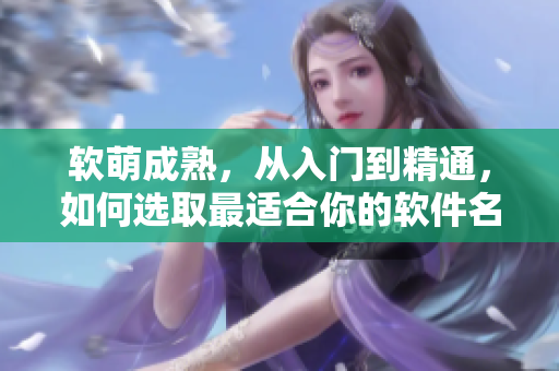 软萌成熟，从入门到精通，如何选取最适合你的软件名？