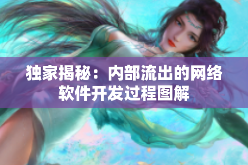 独家揭秘：内部流出的网络软件开发过程图解