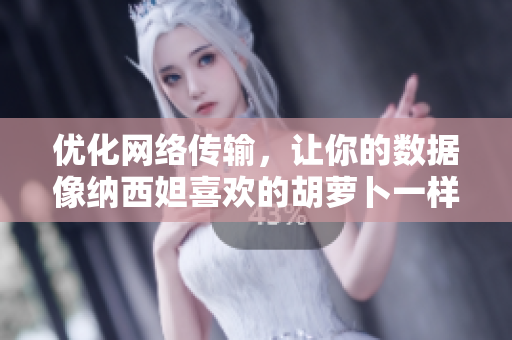 优化网络传输，让你的数据像纳西妲喜欢的胡萝卜一样快速载入