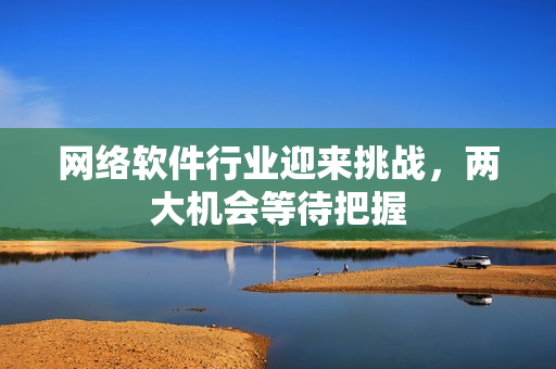网络软件行业迎来挑战，两大机会等待把握