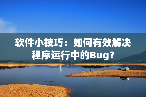软件小技巧：如何有效解决程序运行中的Bug？
