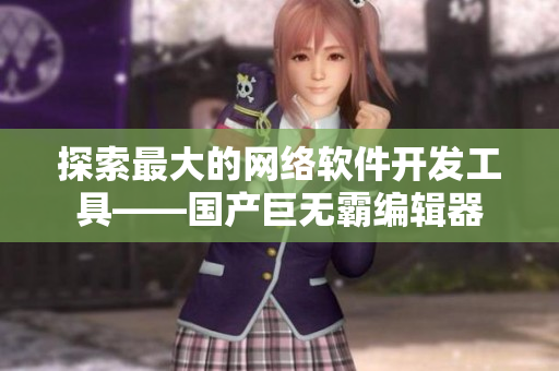 探索最大的网络软件开发工具——国产巨无霸编辑器