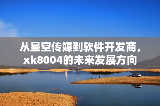 从星空传媒到软件开发商，xk8004的未来发展方向