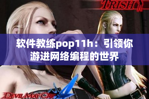 软件教练pop11h：引领你游进网络编程的世界