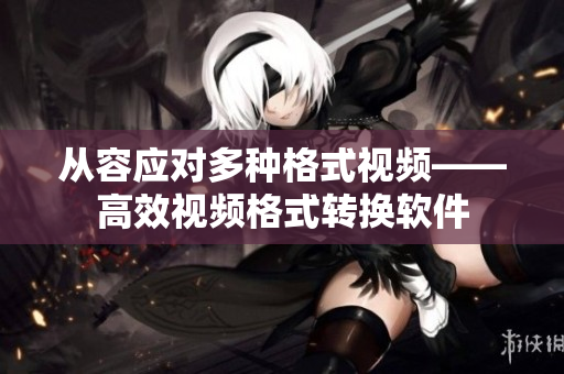 从容应对多种格式视频——高效视频格式转换软件