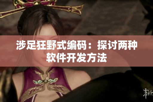 涉足狂野式编码：探讨两种软件开发方法