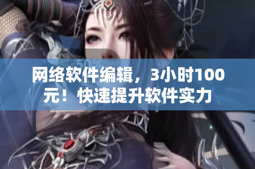 网络软件编辑，3小时100元！快速提升软件实力