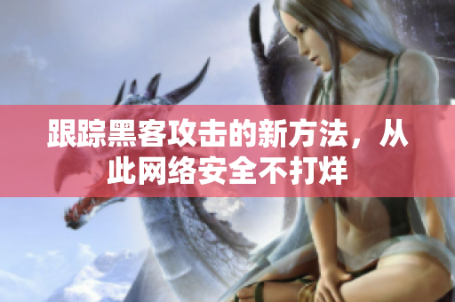 跟踪黑客攻击的新方法，从此网络安全不打烊