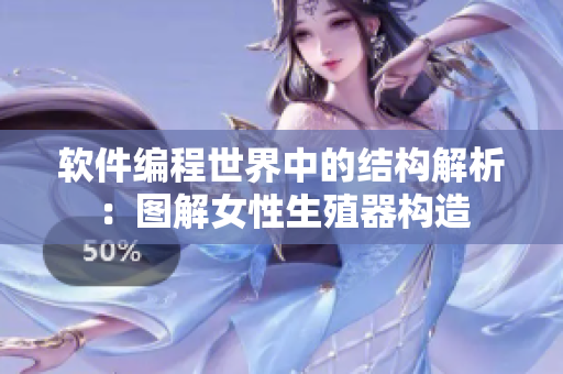 软件编程世界中的结构解析：图解女性生殖器构造