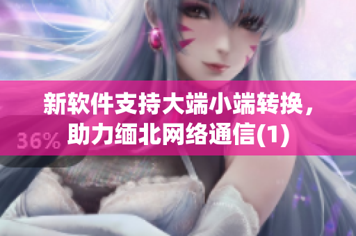 新软件支持大端小端转换，助力缅北网络通信(1)