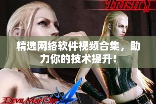 精选网络软件视频合集，助力你的技术提升！