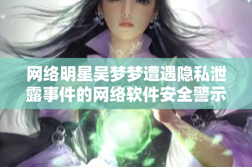 网络明星吴梦梦遭遇隐私泄露事件的网络软件安全警示